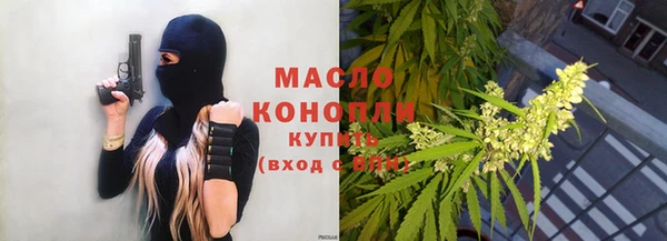 первитин Гусев