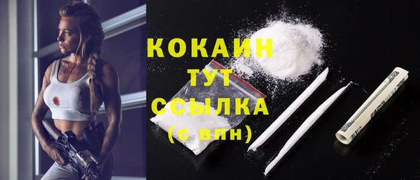 первитин Гусев